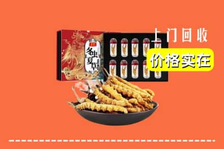 耀州区回收冬虫夏草