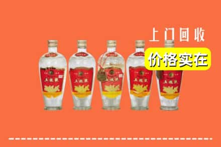 诚信求购:耀州区高价回收老五粮液